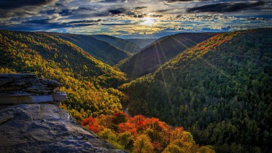 bland_county